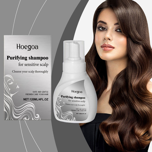 Hoegoa Chamomile Shampoo for Smooth & Shine | For Dry & Frizzy Hair