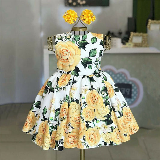 Formal Kids Baby Girl Flower Dress Ball Gown Girl