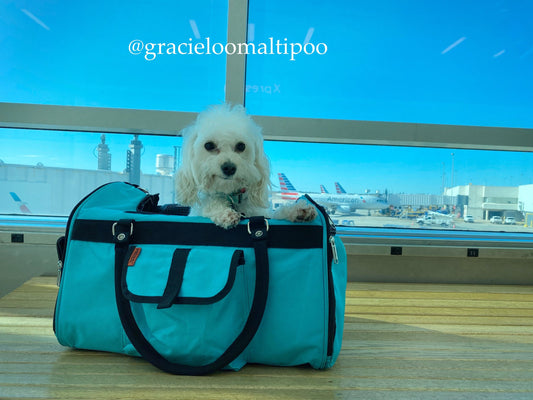 312 Hideawayโข Duffel - Pet Carrier