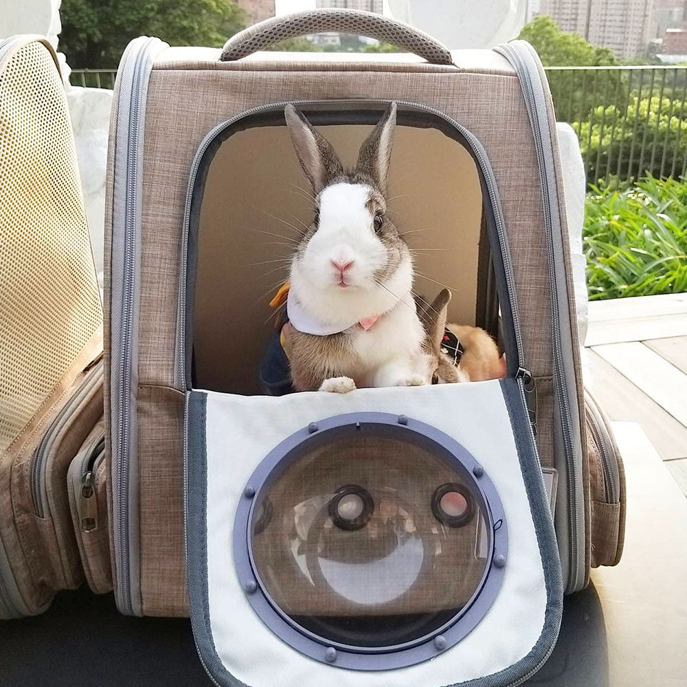 Small Animal Travel & Carriers