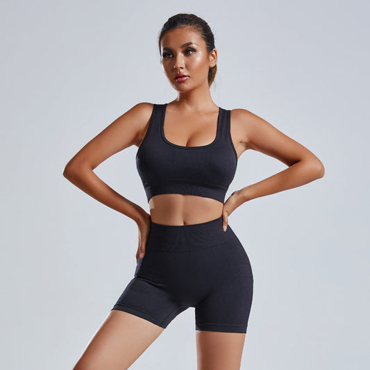 2pcs Yoga Set Women's Vest And Shorts Tracksuit Seamless Workout