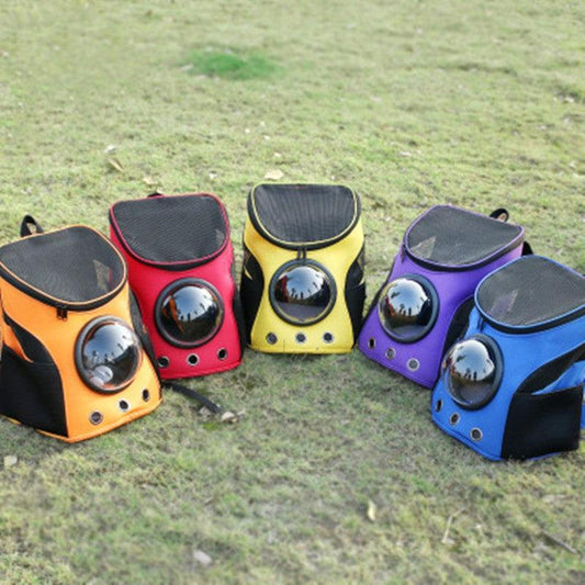 Adventure Paws Portable Pet Carrier: The Stylish Solution For