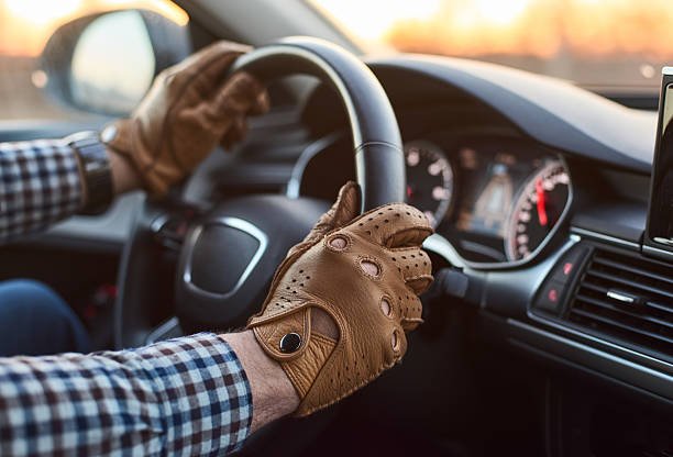 Driving Gloves Collection