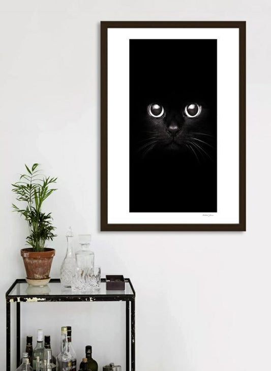 The Black Cat Frame