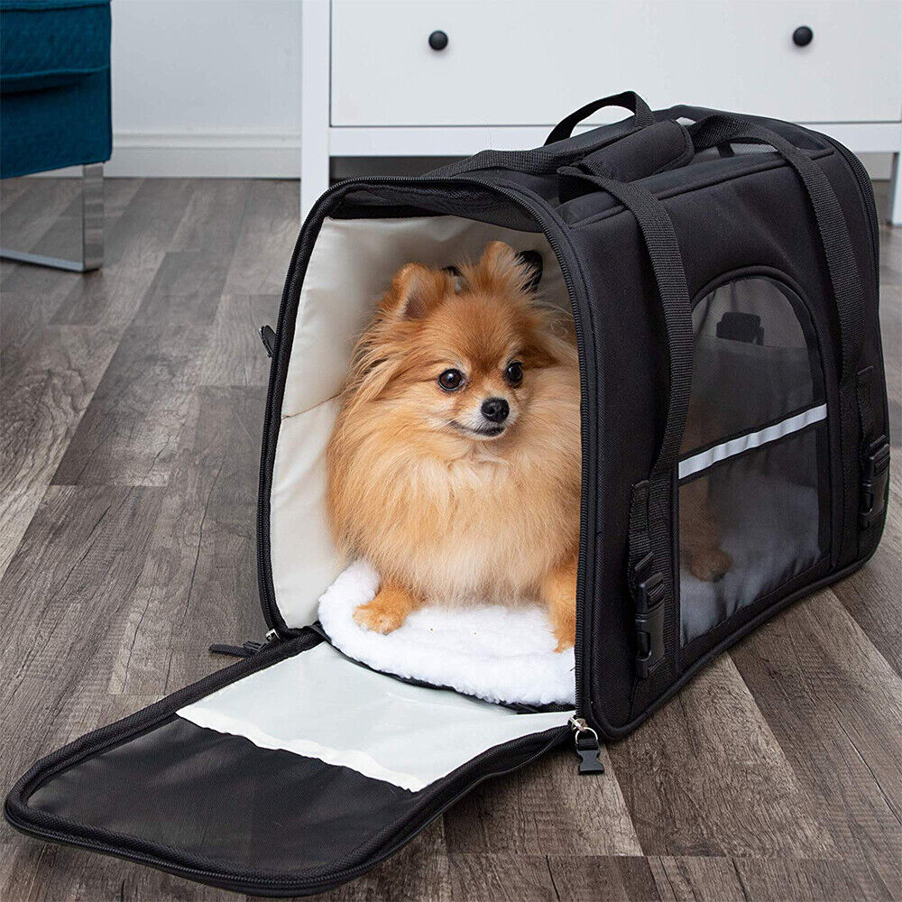 Dog Travel & Carriers