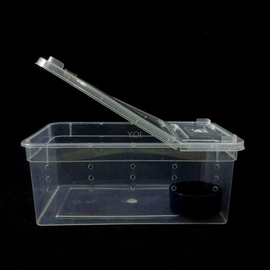 Transparent Reptile Haven: The Perfect Enclosure For Your Cold-Blooded