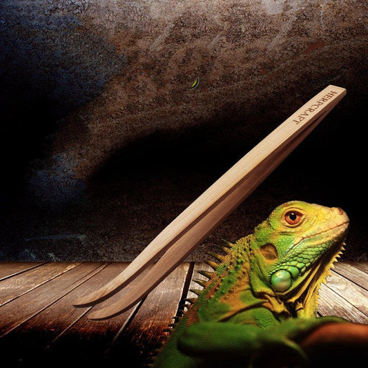 Pet Reptile Bamboo Tweezers Set - Essential Feeding Tools For Crawling