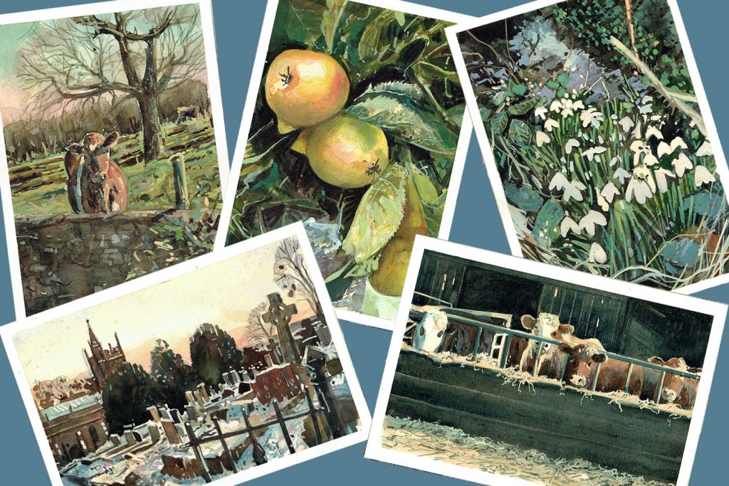 Postcards Collection