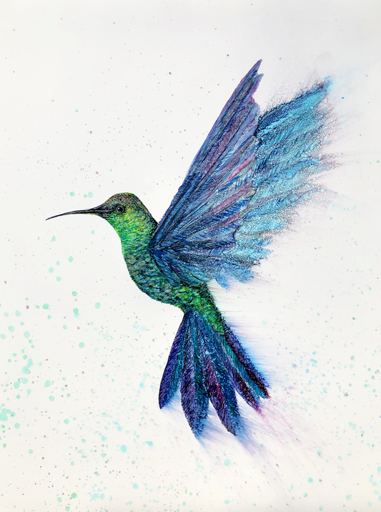 Hummingbird in Flight : Greeting Card