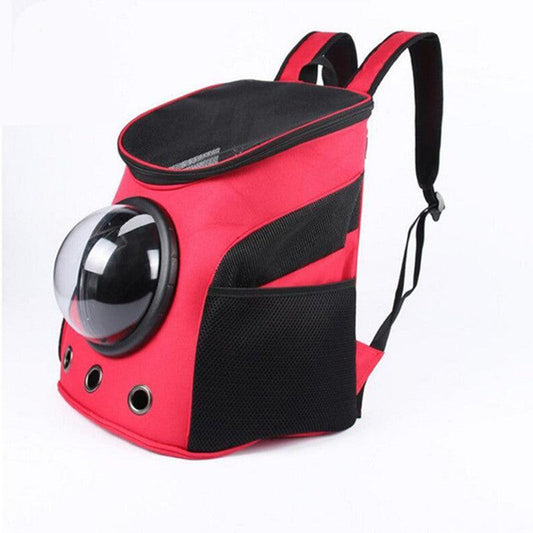Adventure Paws Portable Pet Carrier: The Stylish Solution For