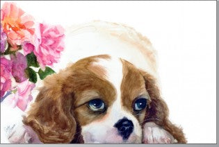Rainbow Card Company PC300-DU Puppy Post Cards -25 Pack Duchess
