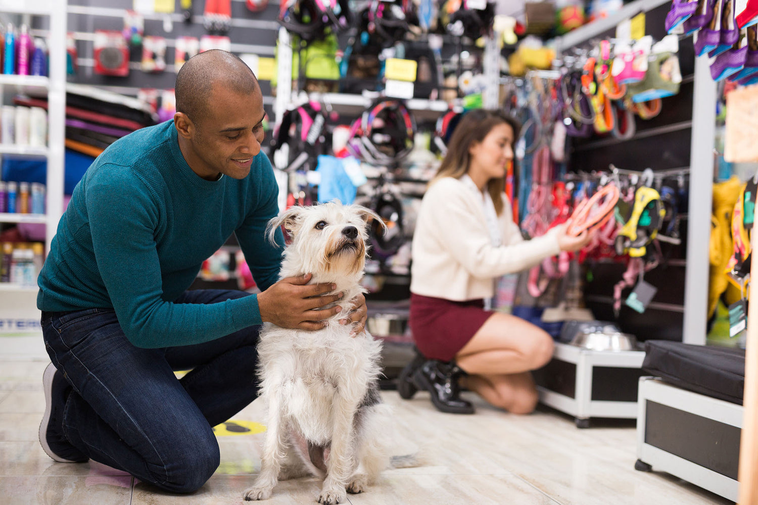 Pet Supplies Sale – Treat Your Pets for Less